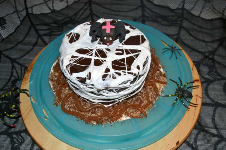 Spinnennetz Torte